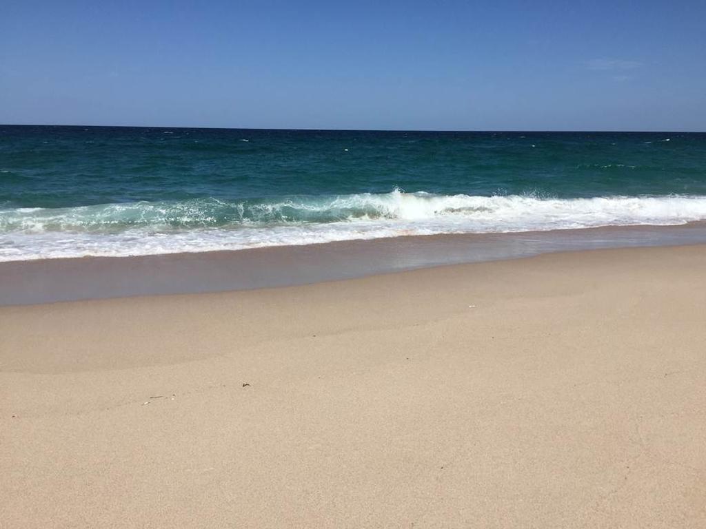 Hotel Ras Al Hadd Beach Holiday Sur Exterior foto